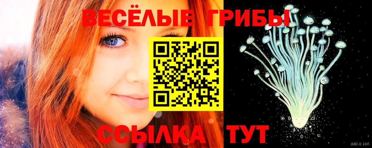 Псилоцибиновые грибы Magic Shrooms Ялта